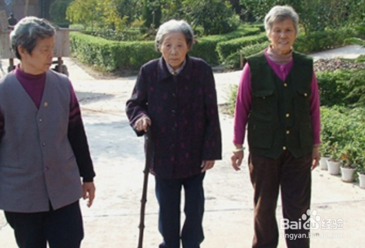 老年人适合什么样的体育锻炼？