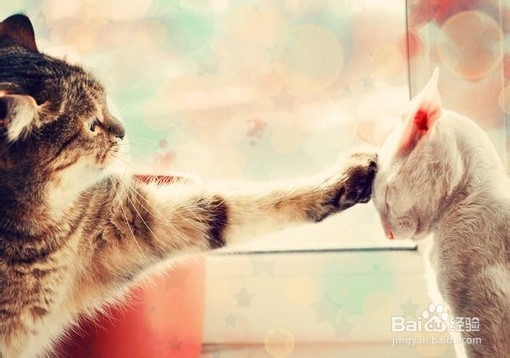 婚前必读----- 幸福婚姻的秘方