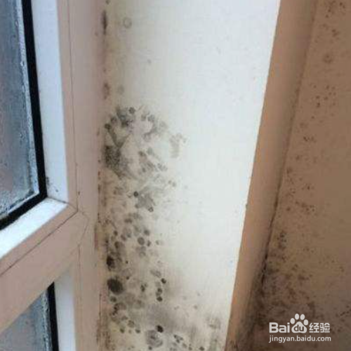 墙纸发霉了怎么翻新