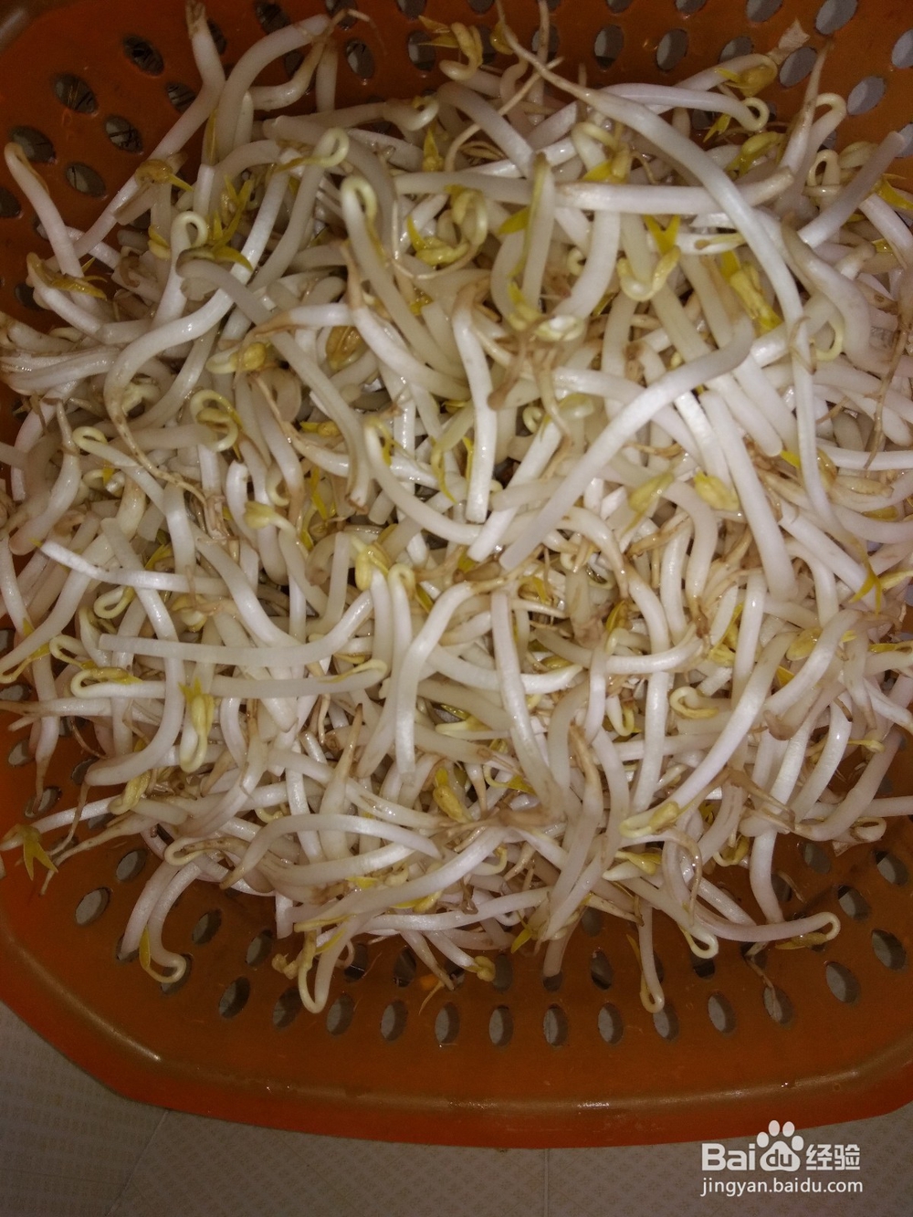 简单的清炒绿豆芽