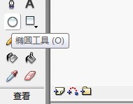 flash如何绘制一只卡通河狸