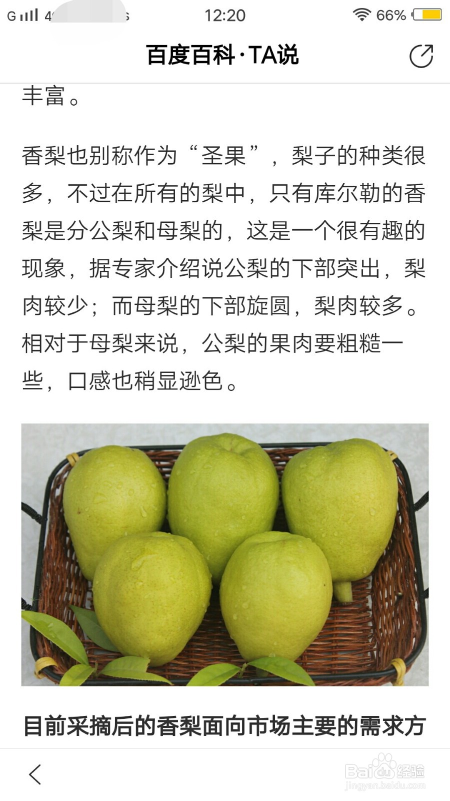 如何在百度极速版app里查看百度百科文章