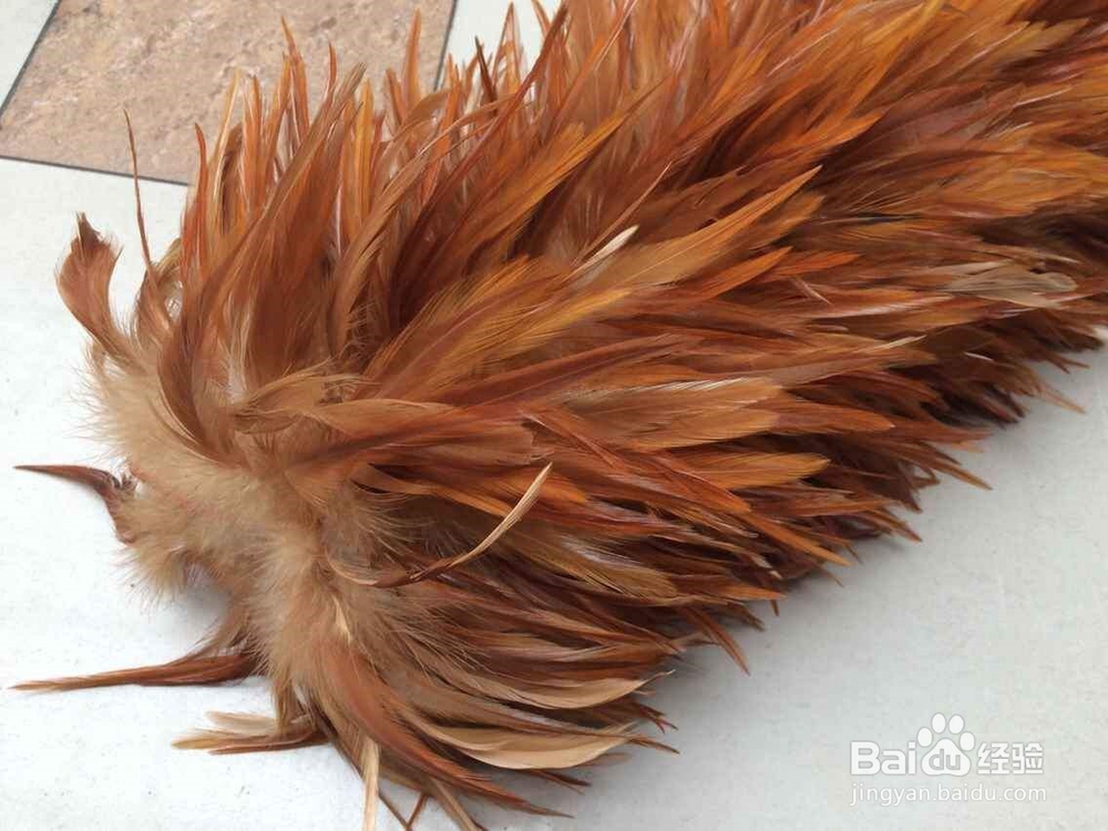 怎样挑选鸡毛掸子