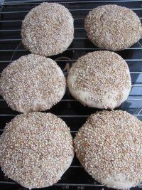 家乡味的肉末烧饼