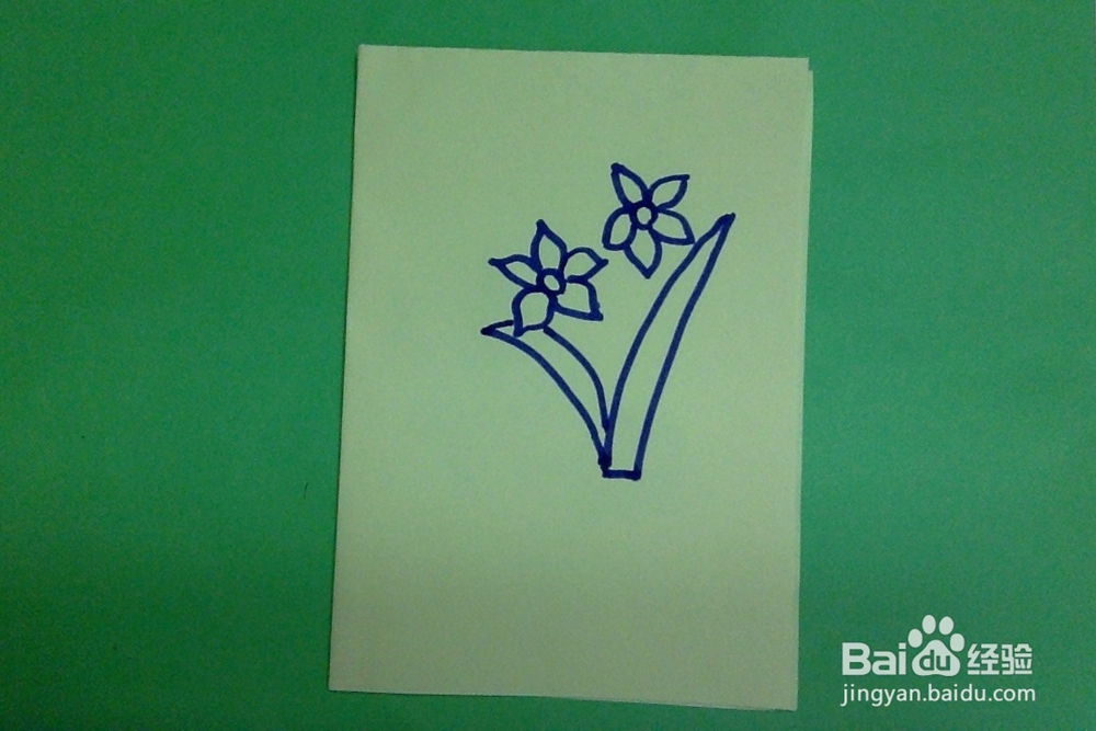 简笔画怎样画水仙花的画法简单儿童启蒙学画水仙