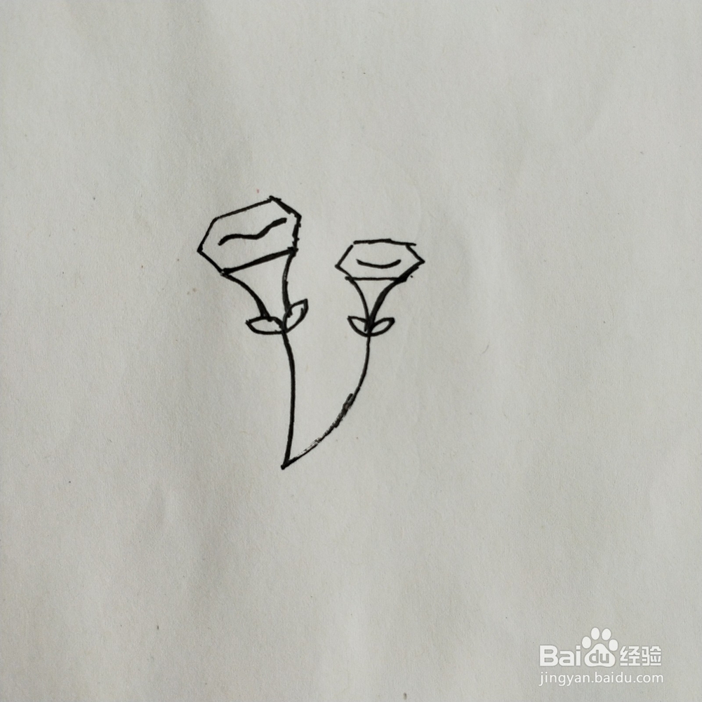 手掌简笔画素材：花卉类的简笔画系列
