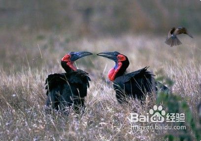 约翰内斯堡旅游景点介绍