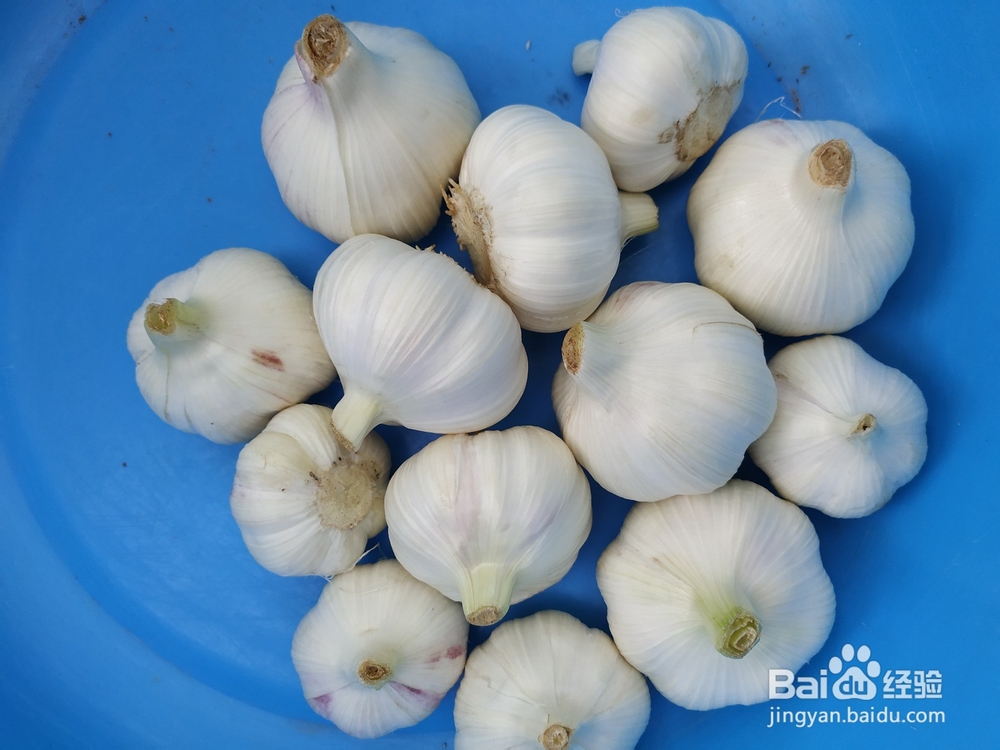 不需要熬料水的腌糖蒜