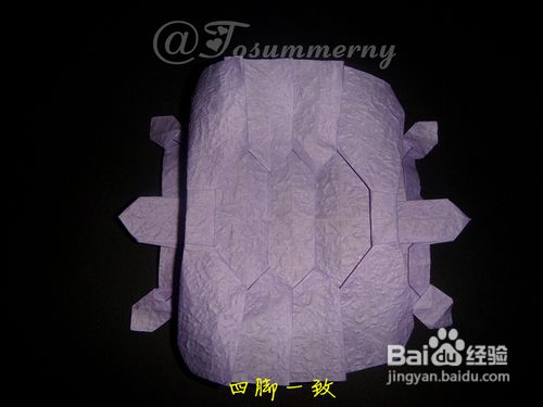 【天の折馆】金钱龟折纸实拍教程