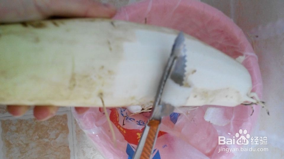 秋季润肺白萝卜丝