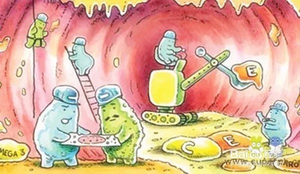 我们为啥要补益生菌？