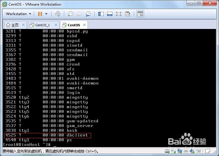 教你在linux怎么重获ip地址