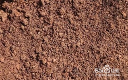 文山三七,这些问题不知道的点击查看