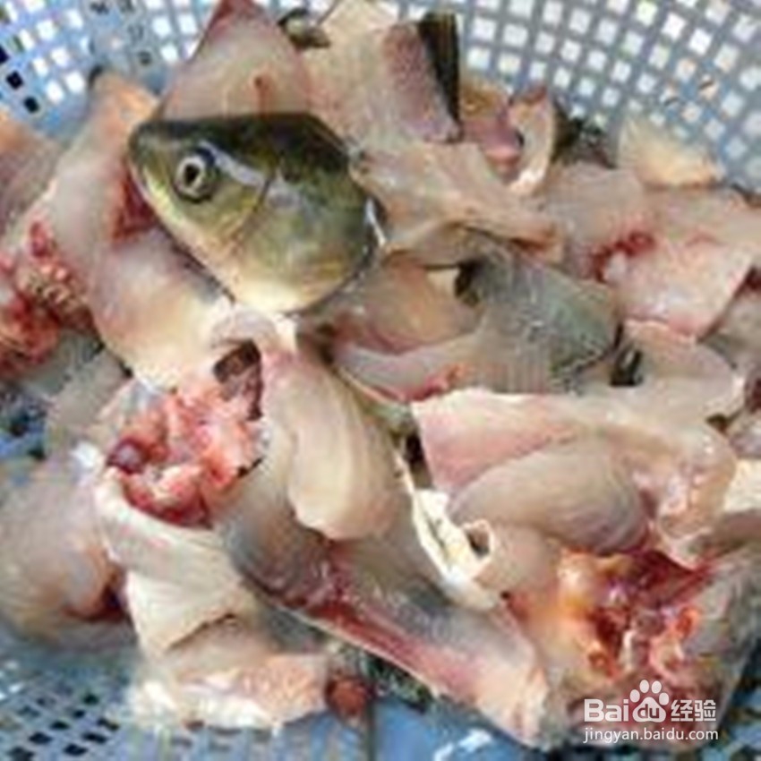 青花椒鱼的最新做法