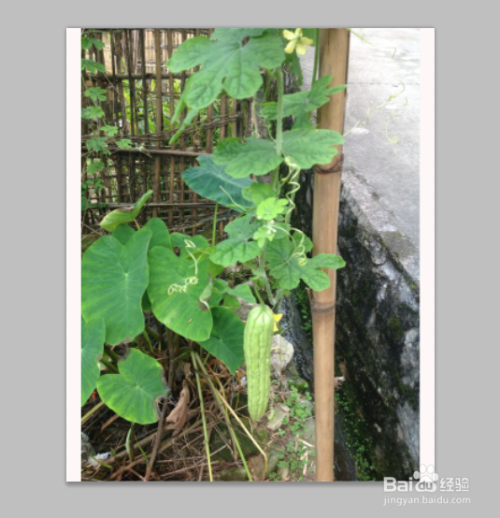 ps如何延伸图片