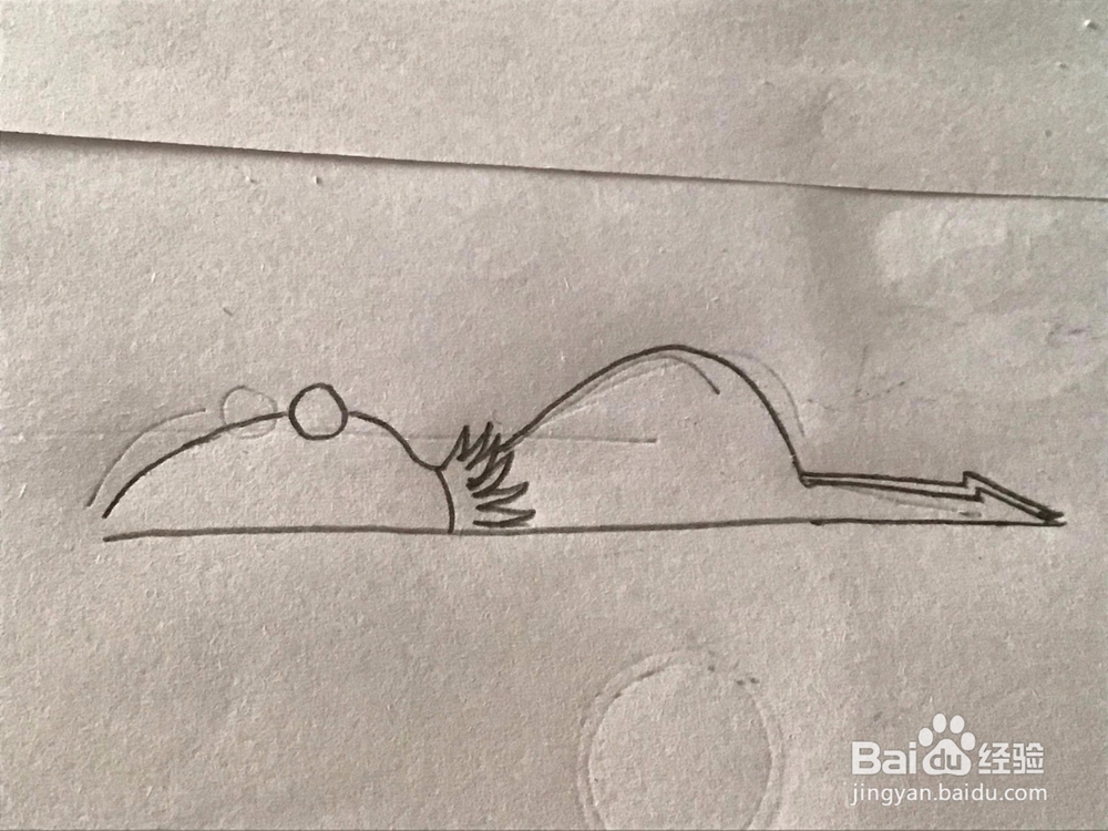 懒人青蛙 简笔画 详细绘画步骤教程!