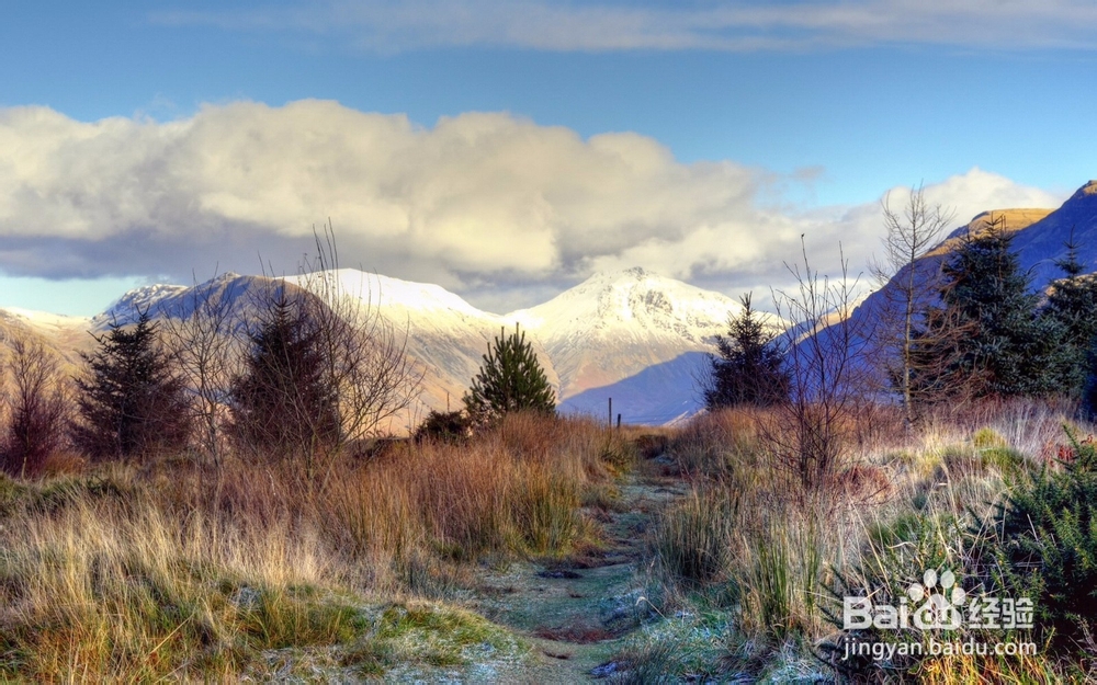造化之功（阿里山）