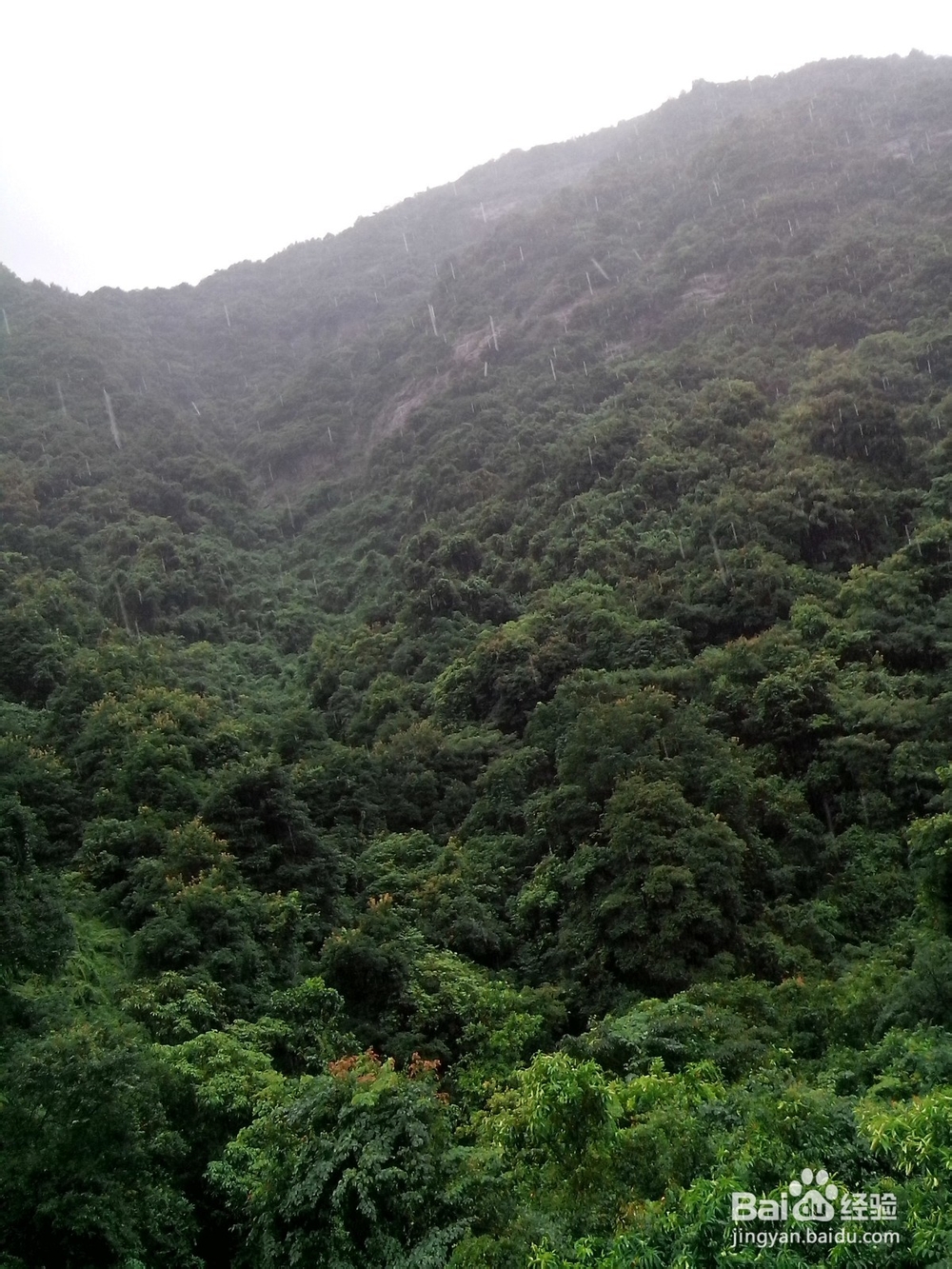 银瓶山森林公园（东莞内）