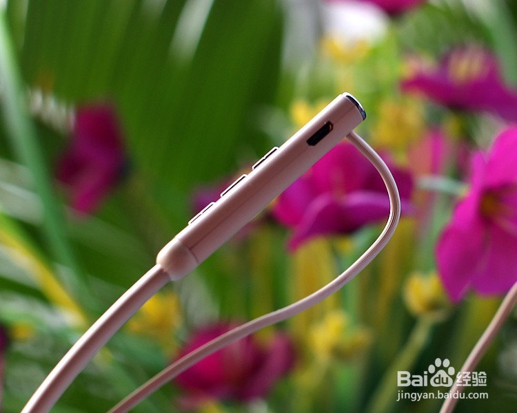 脉歌MacawTX-60 无线蓝牙耳机功能使用