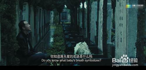 花语 满天星的花语 百度经验 花语 满天星的花语 百度经验