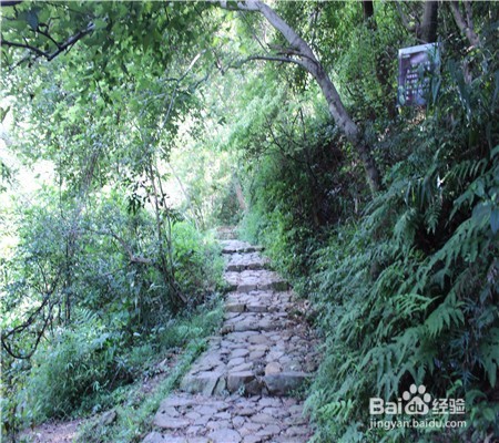 越野迷路怎么办