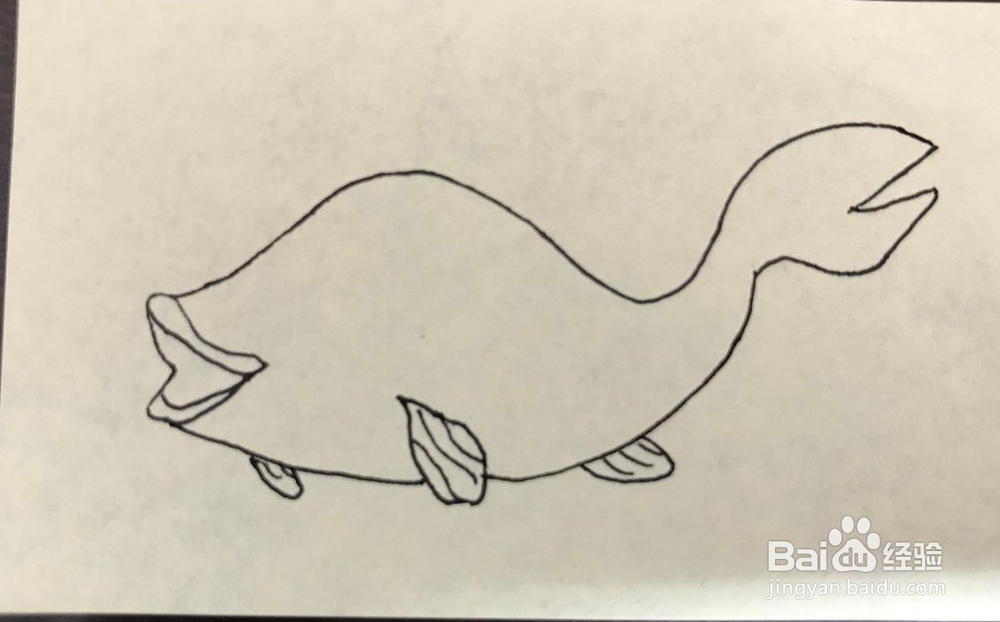 如何绘制一条卡通鱼？