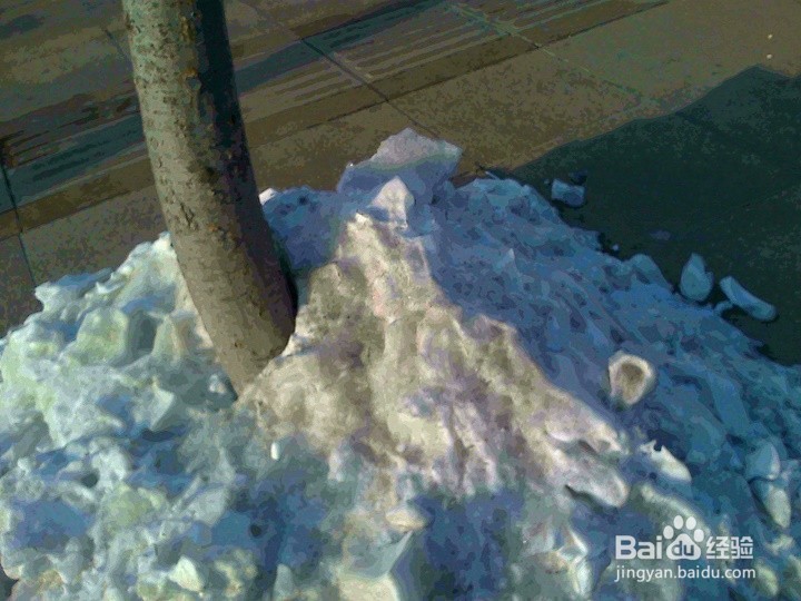 树木的根为什么用雪堆保护