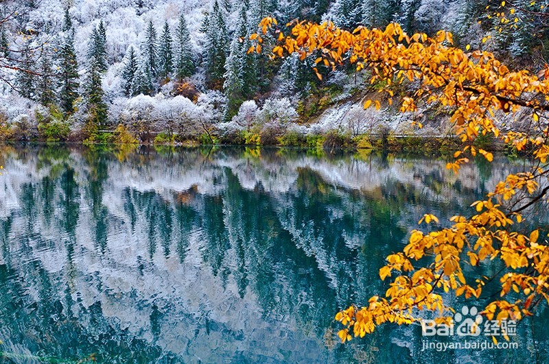 川西若尔盖花湖 川西7日摄影旅游 西北户外地接