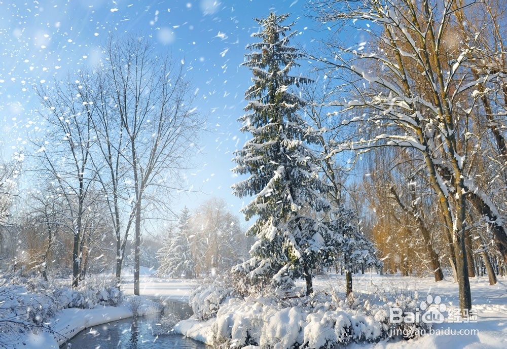 飞舞的雪花拍摄技巧