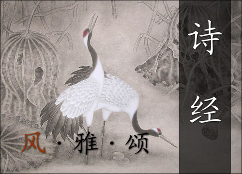 七夕情人节送礼全攻略