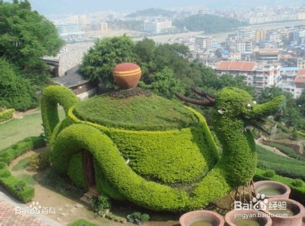 铁观音的挑选鉴别