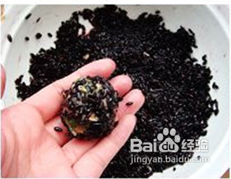 紫米珍珠丸子—祝朋友们的生活团团圆圆甜甜蜜蜜