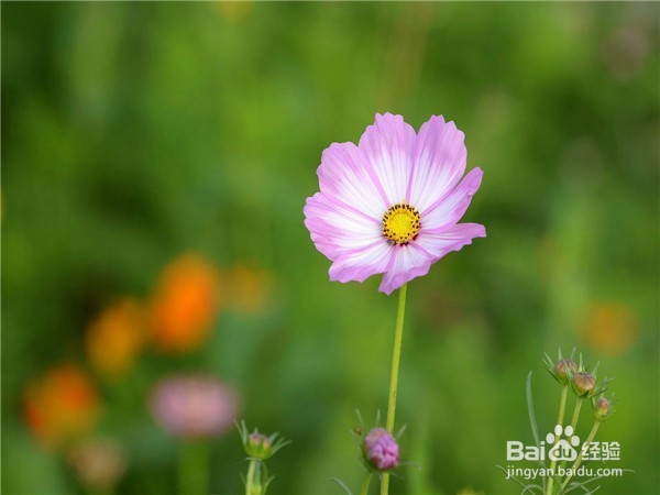 如何化解生活中的尴尬