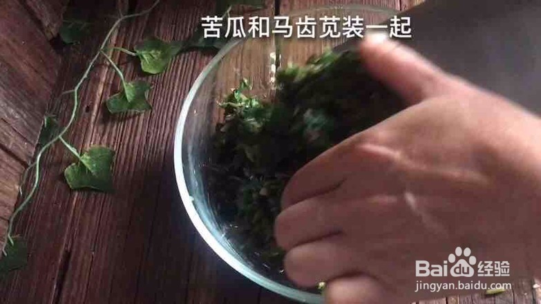 马齿苋拌苦瓜的做法