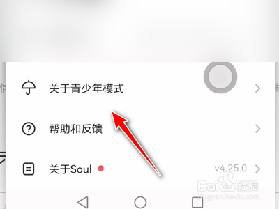 Soul如何进入青少年模式