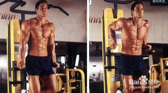怎样练出完美肌肉：[7]肱三头肌