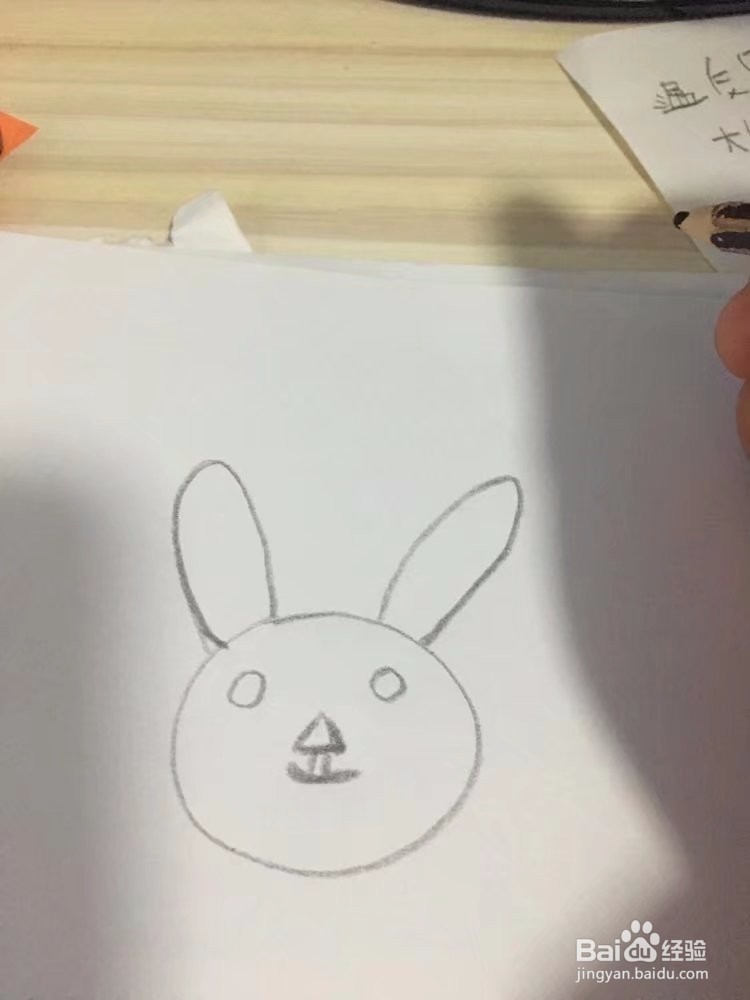 小兔的简单画法