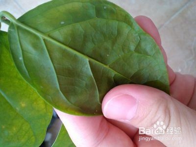 洗发水别的用途您知道吗？超实用