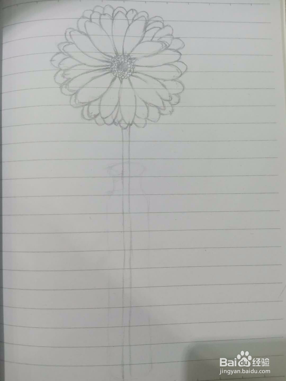 《菊花小景》手绘过程