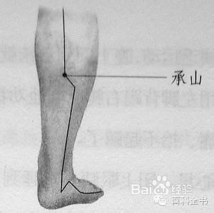 快速给力的10个身体穴位减肥排毒