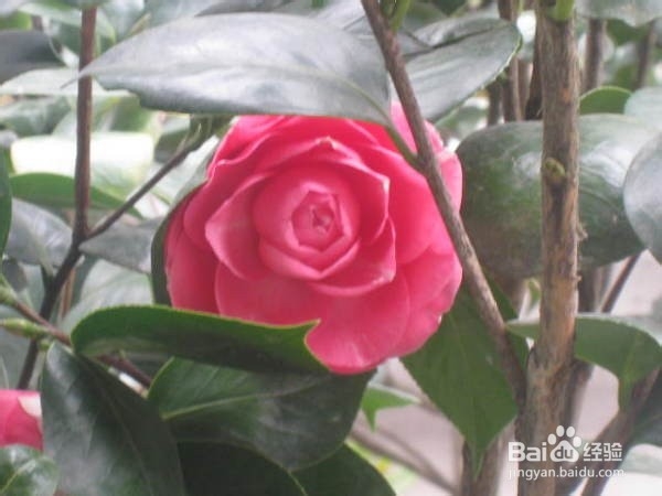 天津到张家界自驾游