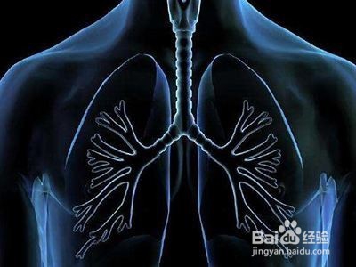 烟民如何养肺