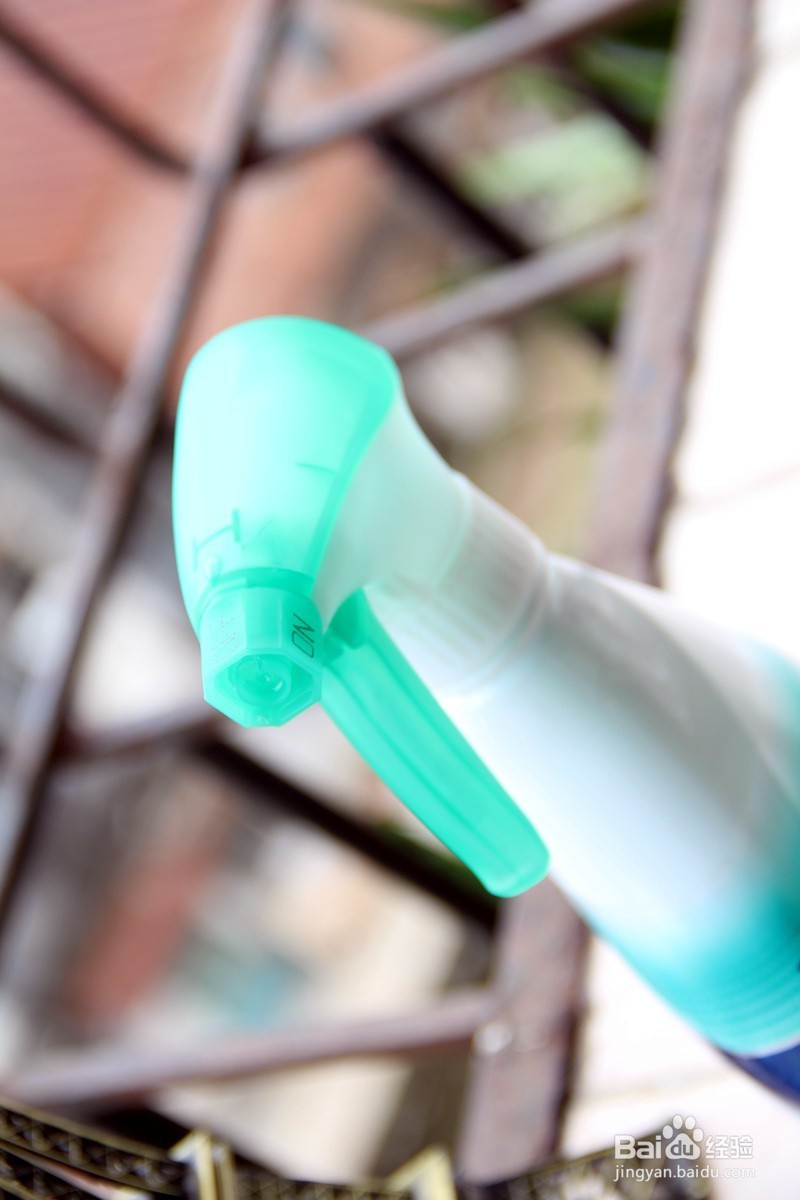 去日本买什么,跟我一起准没错