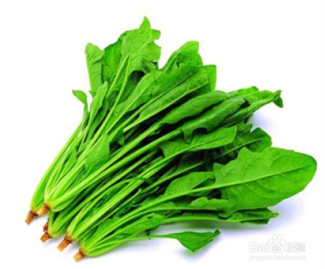 如何使食物保鲜