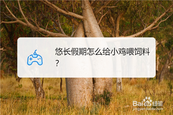 悠长假期怎么给小鸡喂饲料？