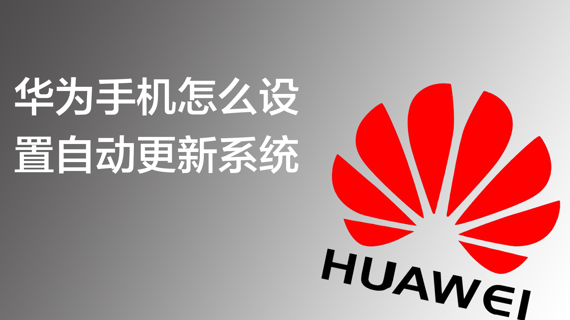 华为手机怎么设置自动更新系统