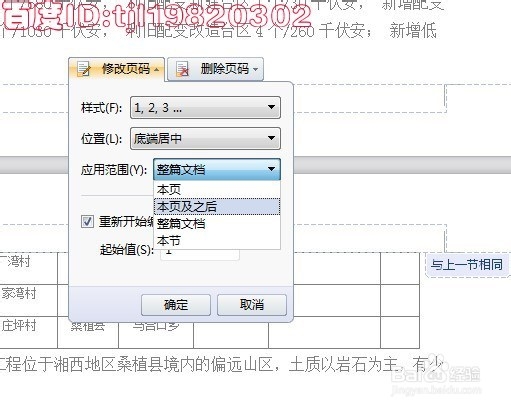 WORLD文档中如何设置页码