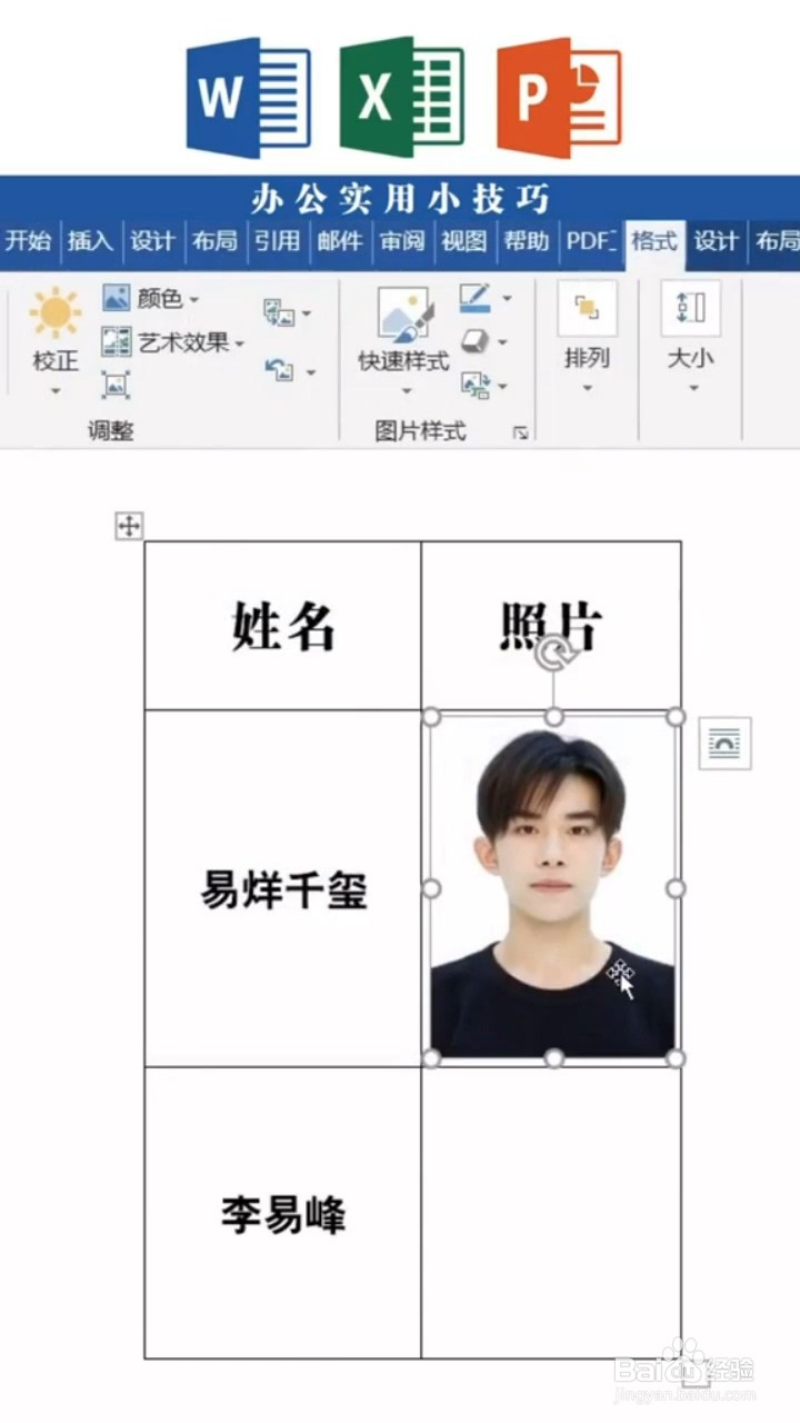 WORD表格中插入图片如何不变形