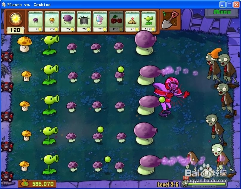如何极其简单打植物大战僵尸（不开外挂）