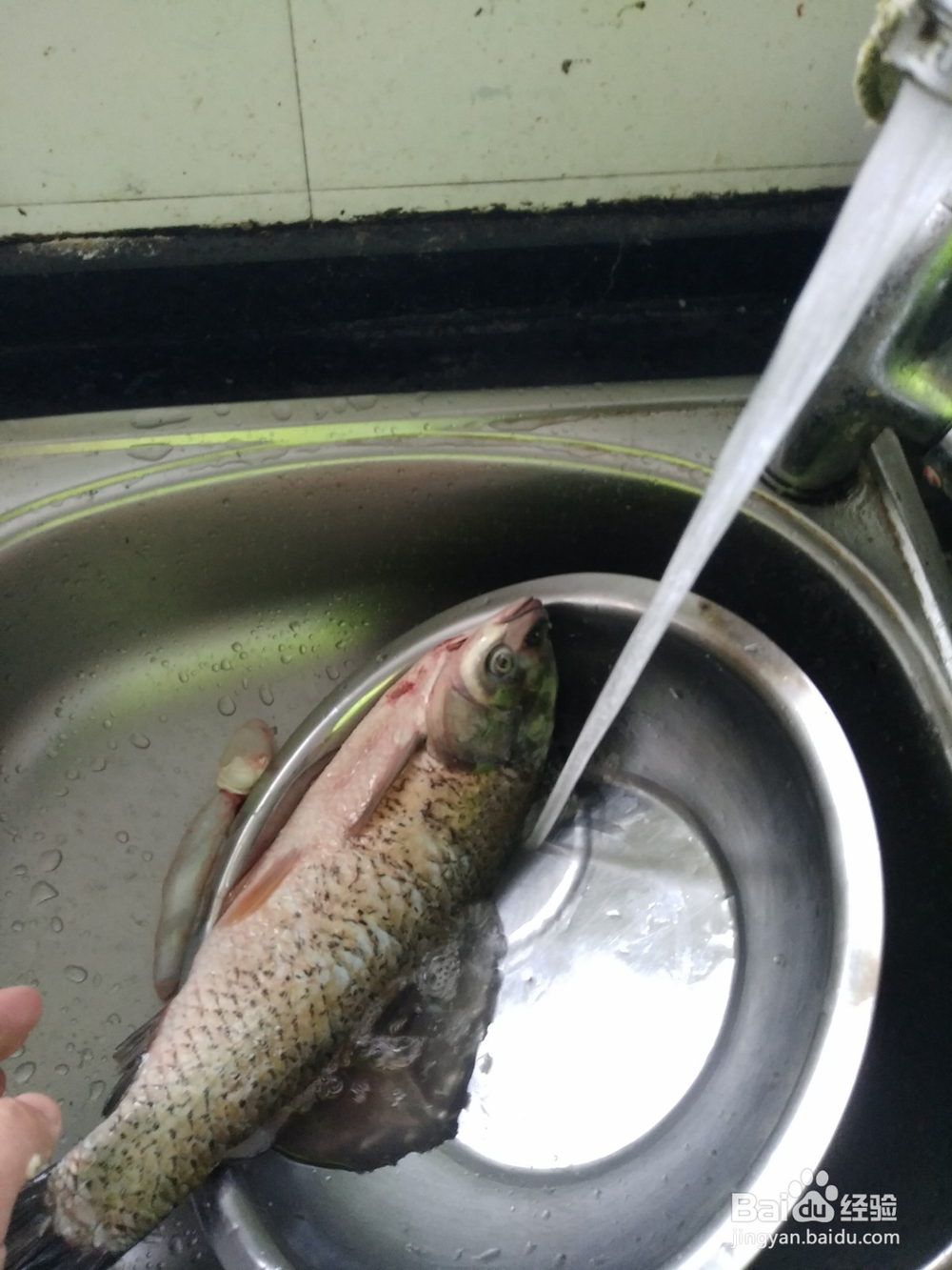 水煮鱼肉片的腌制
